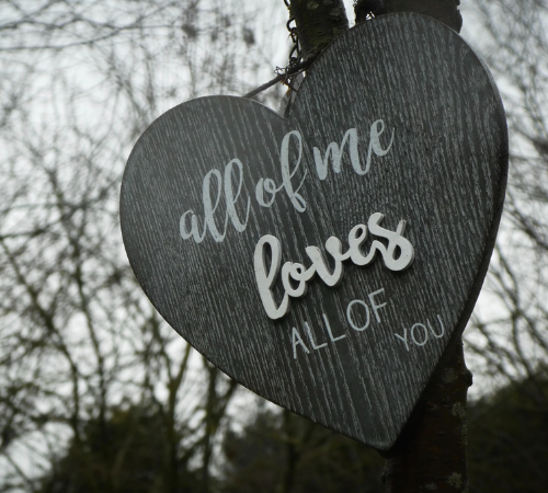 Compatibilité amoureuse