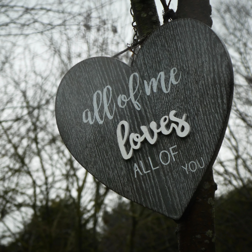 Compatibilité amoureuse